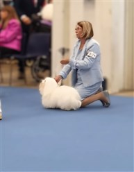 Lovis WDS Helsinki 2025