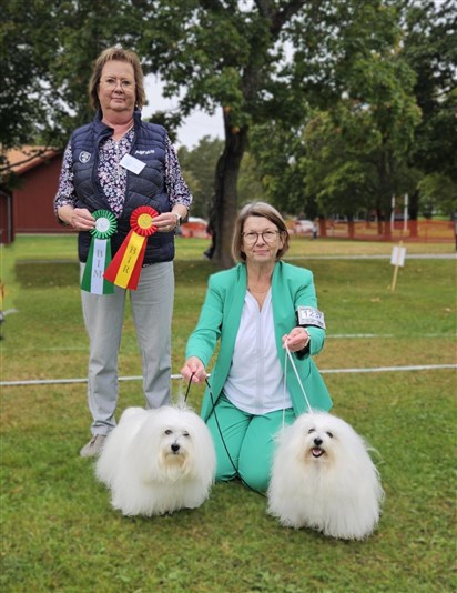 Lovis och Frippe BIR och BIM