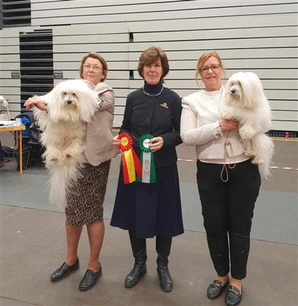 Frippe BIR SDHK S&ouml;dert&auml;lje 250215