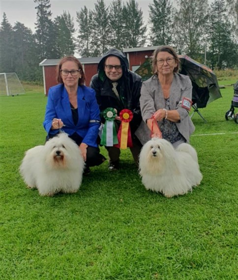 Tindra BIR och BIR Veteran