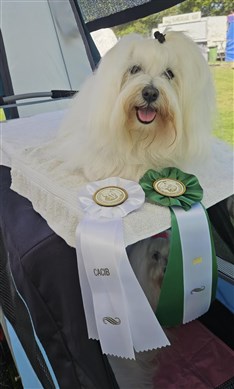 Minna vinstrikaste tik nr 2 2025